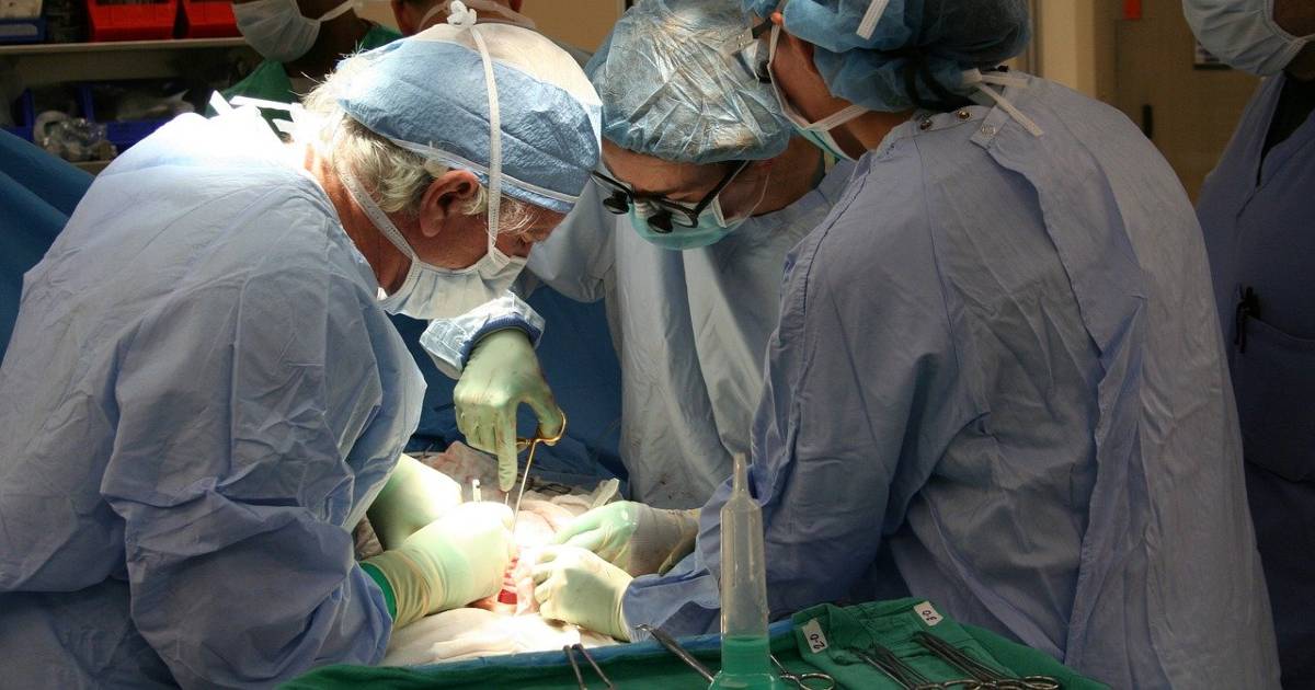Госпиталь La Fe побил рекорд по трансплантации печени в Испании