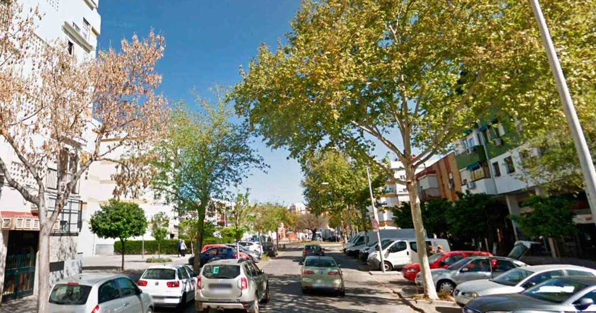 Городской совет Севильи выплатит компенсацию в 6000 евро мужчине за упавшую ветку дерева