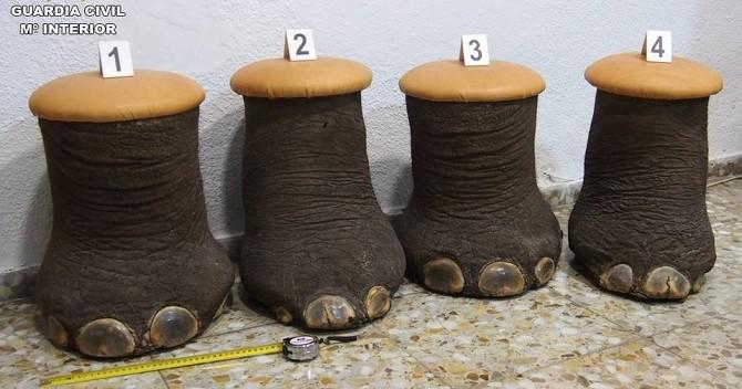 Служба охраны природы Аликанте конфисковала 4 табуретки, сделанных из ног слона